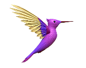 Senso Assisted Monitoring Service