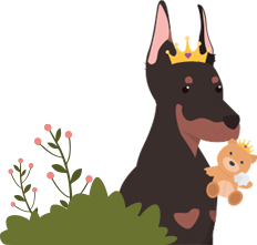 Request to see DNS Filter