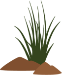 Senso Bush Character