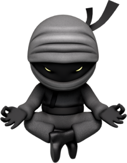 Senso Ninja Character