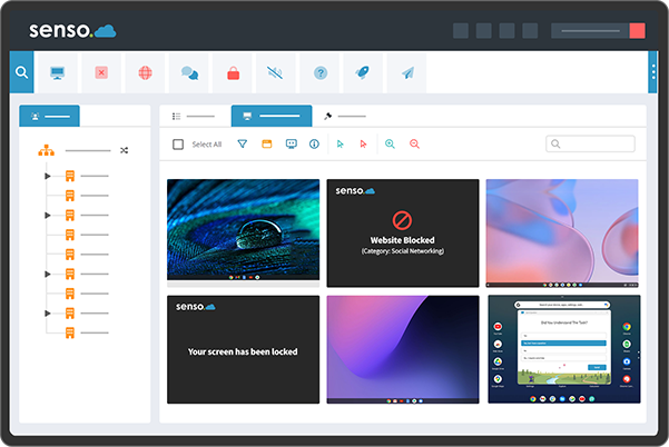 Senso one2one program